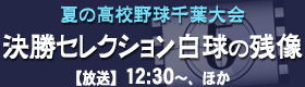 夏の高校野球千葉大会,決勝セレクション,白球の残像
