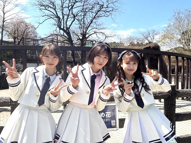 超ときめき♡宣伝部の３人が行く！市町村てくてく散歩　市原＆富津＆鋸南へ
