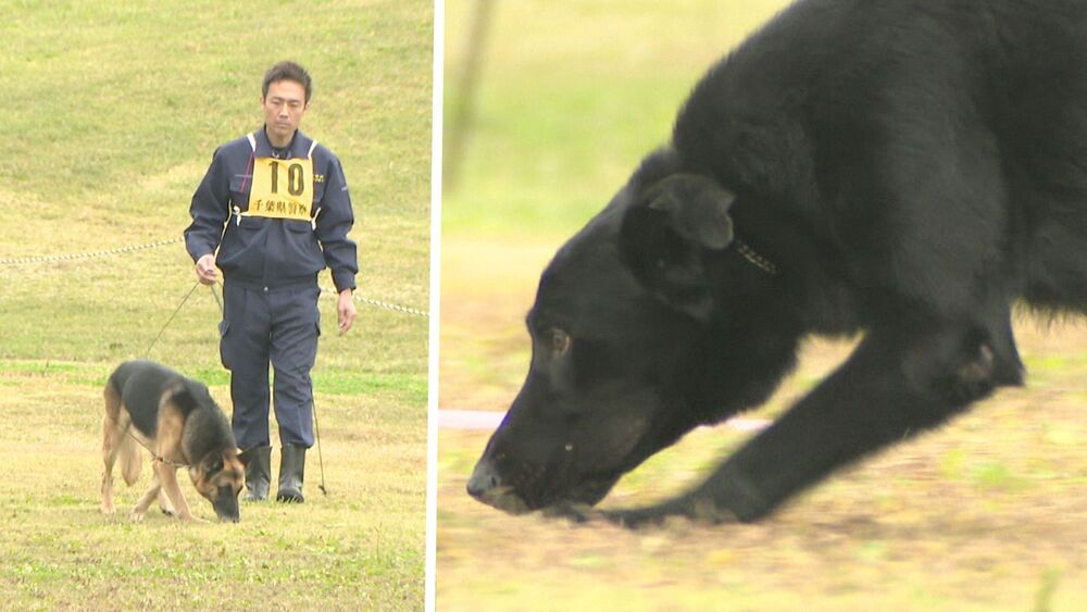 行方不明者捜索へ信頼の鼻　千葉県警が依頼する嘱託警察犬　能力見極める審査会