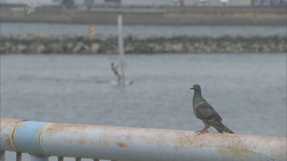 佐倉で37℃超えなど 千葉県内きょうも猛暑 あすも熱中症に警戒