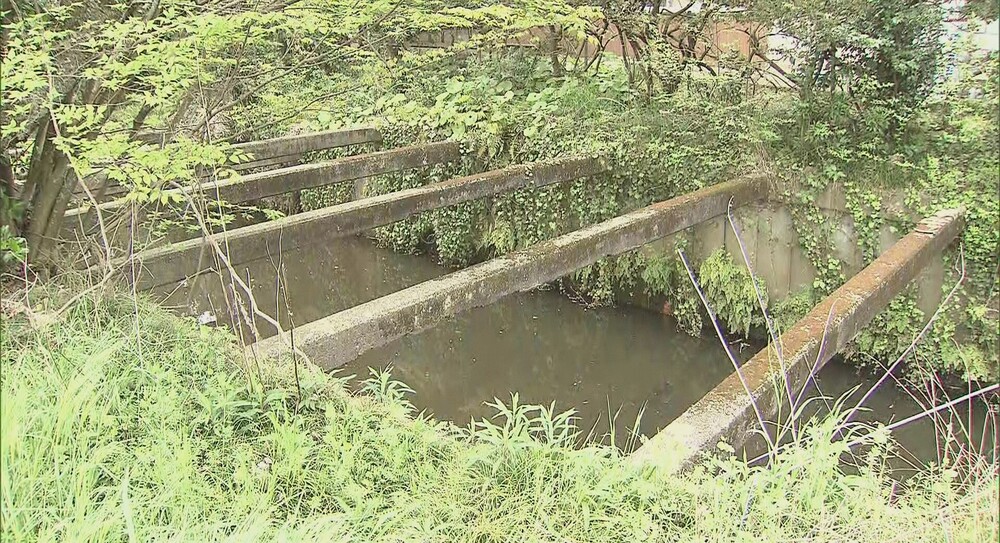 柏市と白井市の境を流れる河川でPFAS基準超え　要因は“下総航空基地の排水”