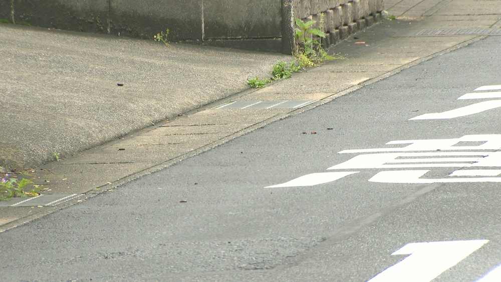 「誰でもいいから殺したかった」路上で女性殺害か　千葉市在住の１５歳少年を逮捕