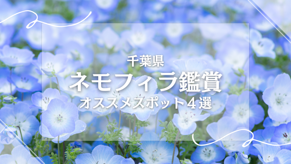 4月はネモフィラを見に行こう♪千葉県のオススメスポット4選