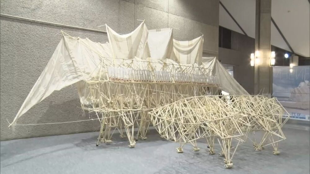 オランダの巨大アート「テオ・ヤンセン展」開催／千葉県立美術館