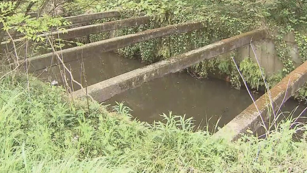 「PFAS」有害物質検出問題 千葉県や市が自衛隊に調査協力を要請