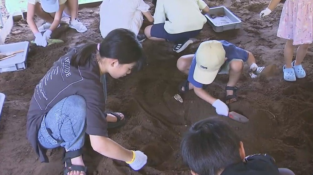 親子で楽しみながら縄文時代の暮らしを学ぶ　千葉市立加曽利貝塚博物館　