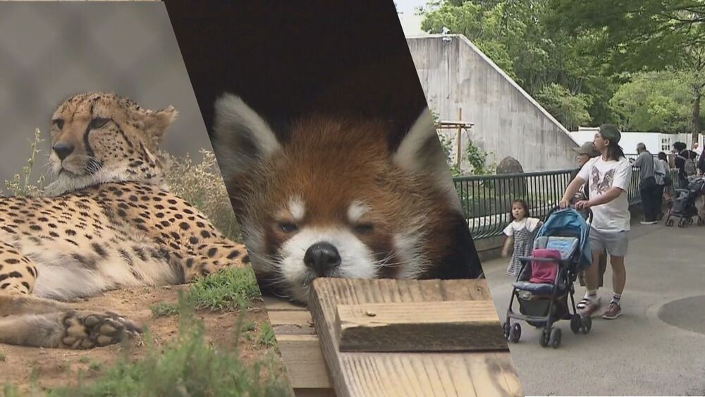 ゴールデンウィーク最終日 千葉市動物公園も観光客でにぎわう