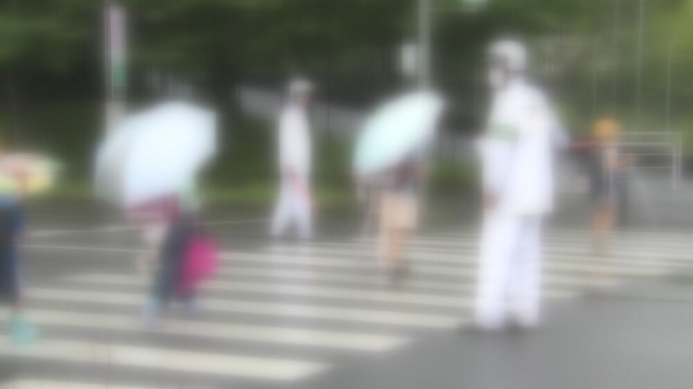 信号ない横断歩道で一時停止する車　千葉県４８.４％　５年連続で全国平均下回る