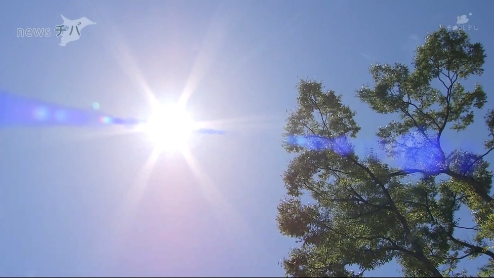 ビニールハウスで倒れ…　千葉県横芝光町で９０代男性死亡　熱中症か