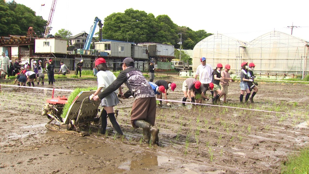 ”１本１本の苗が育つよう願いを込めて”　船橋市の小学校でコメ作り体験
