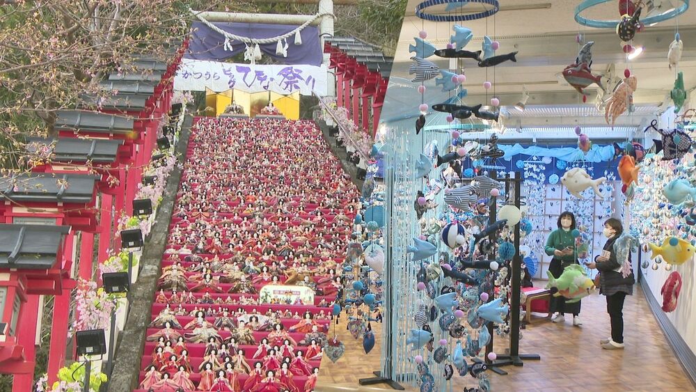 千葉県勝浦市・御宿町で一足早い「ひな祭り」イベント