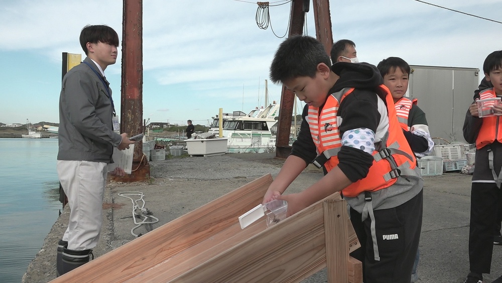 「大きく育ってね」　千葉・富津市の児童たちがマダイの稚魚１５０尾放流