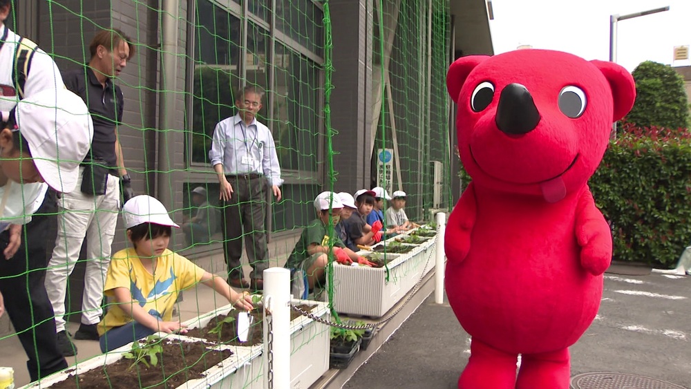 夏本番を前に子どもたちとチーバくんで「緑のカーテン」づくりに挑戦！
