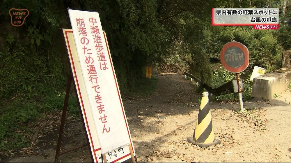「養老渓谷」も・・・千葉県内有数の紅葉スポットに台風の爪痕