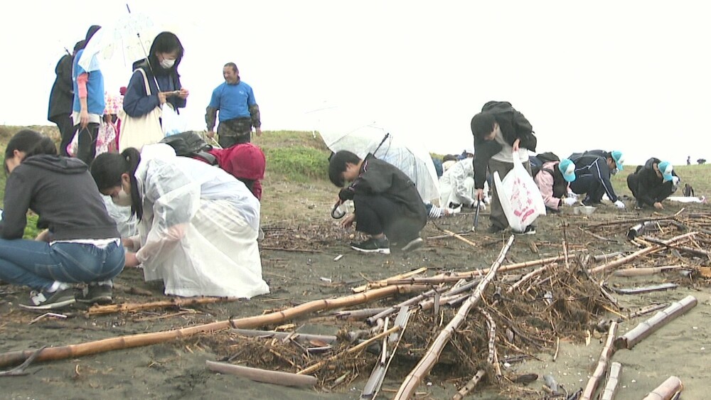 ピンセットやふるいも使って…　千葉市・幕張の浜で「マイクロプラスチック」拾い