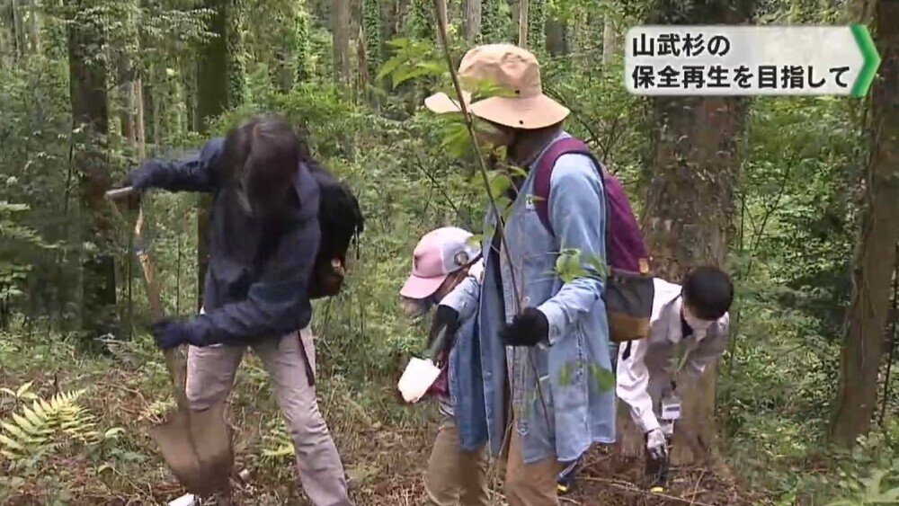 ワタミの渡邉会長も参加 千葉県山武市「日向の森」で植樹会