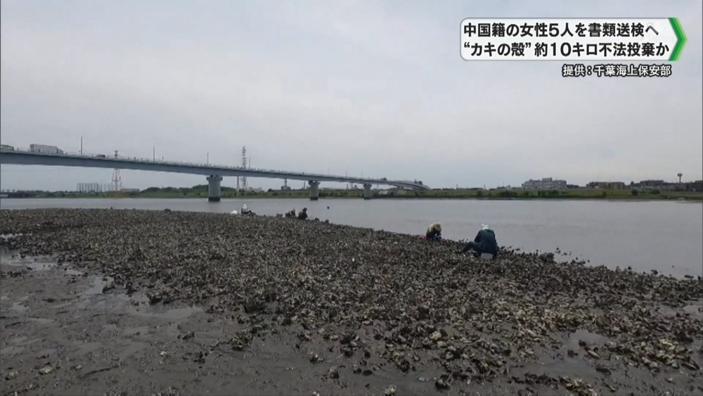 中国籍の女性5人を書類送検へ “カキの殻” 江戸川河口に約10キロ不法投棄か