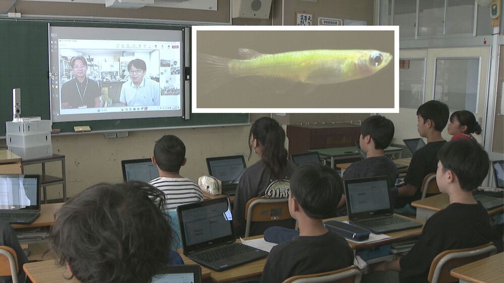 ”メダカ博士”から生命の不思議に迫る　千葉県柏市の小学校で東京大学の特別授業
