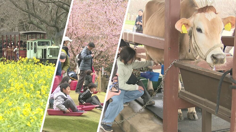「春分の日」賑わう　成田市の観光牧場にも多くの家族連れ