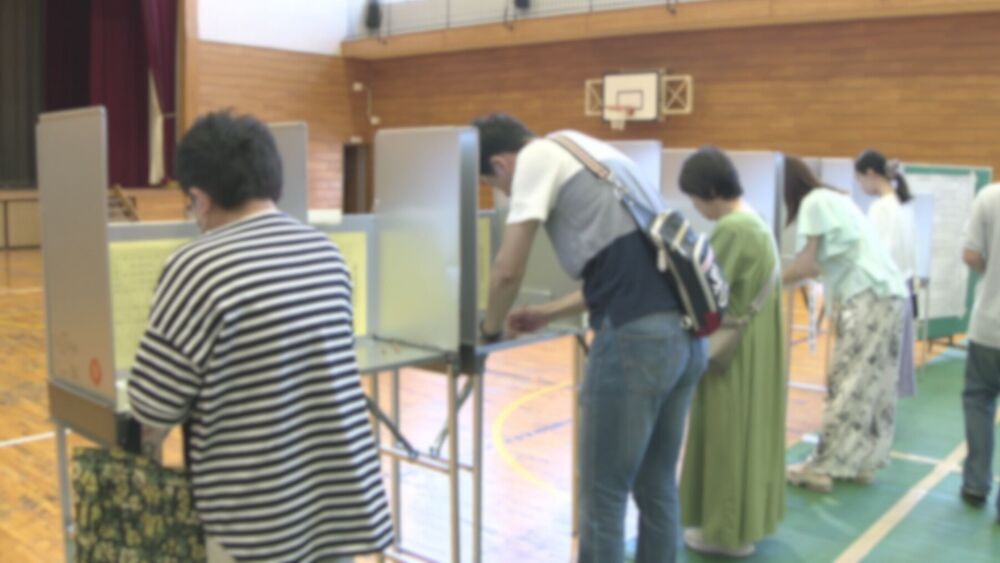 参院選千葉選挙区の出口調査分析　国民民主党小林さやか氏　党派超えて支持獲得