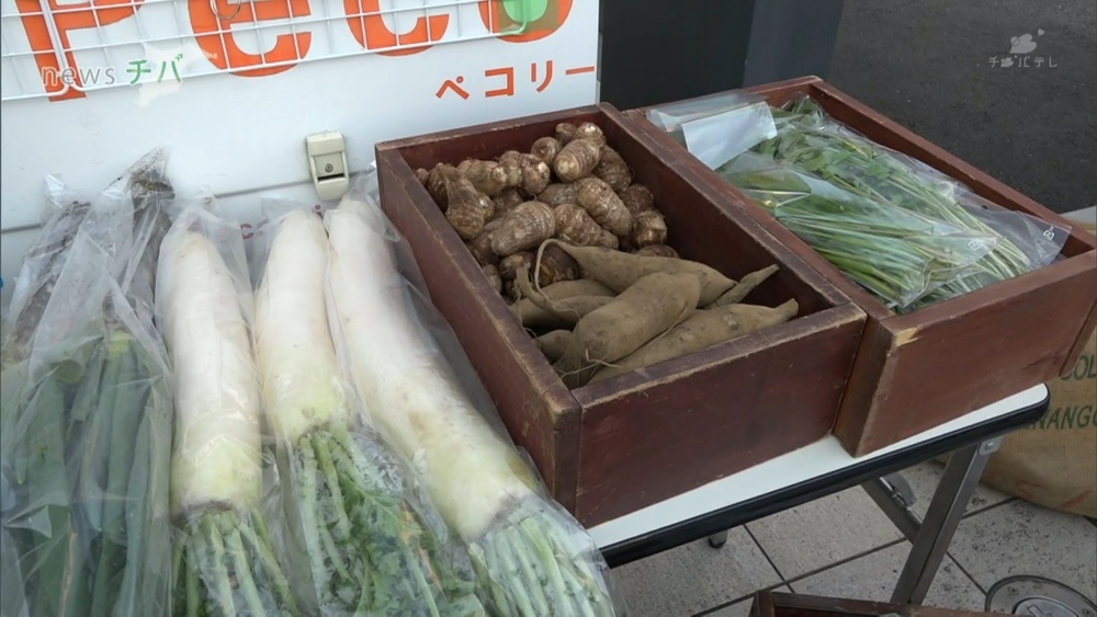 曲がった大根や二股ニンジン… フードロス削減のため“規格外野菜”販売イベント