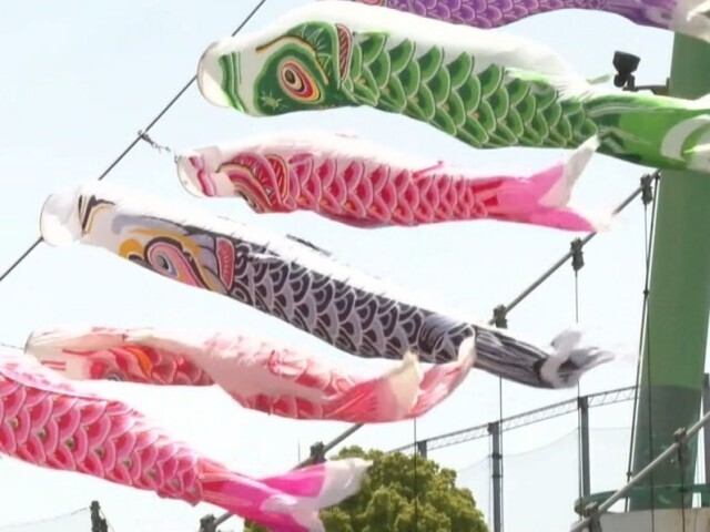 ゆらゆら橋のこいのぼり 5月5日まで 千葉県八千代市 チバテレ プラス