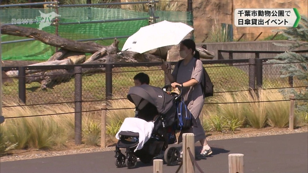 猛暑！動物たちも日陰でぐったり 千葉市動物公園で日傘を無料で貸し出し