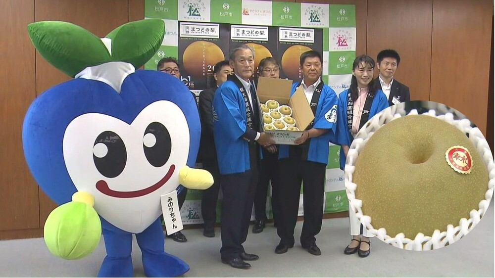 “旬の味覚味わって”千葉県松戸市に採りたてのナシ寄贈