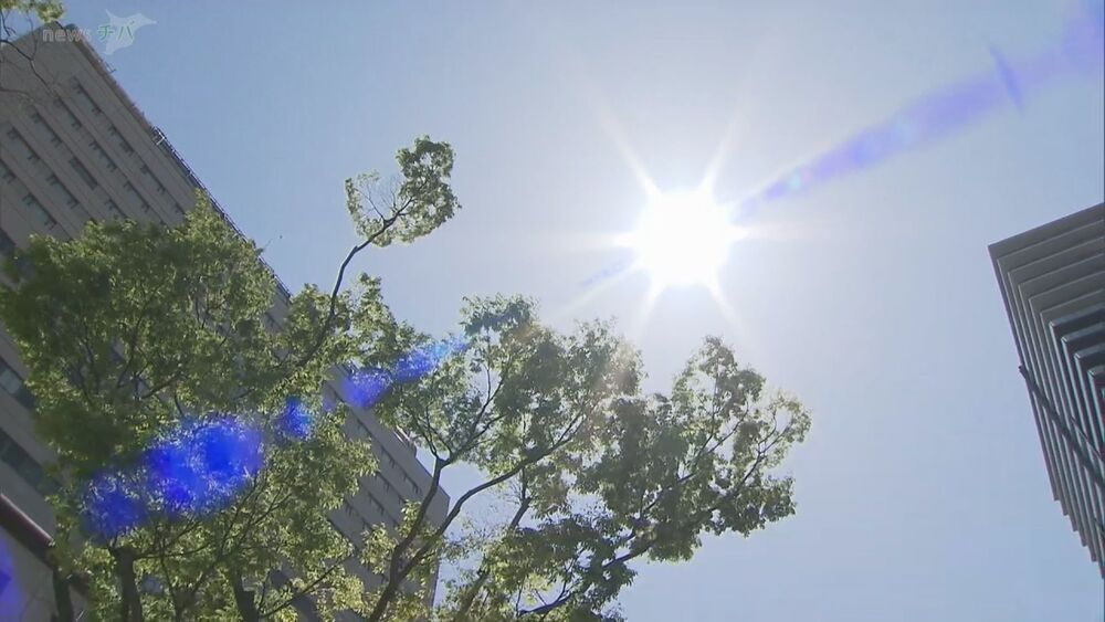 千葉県内は“初夏の陽気”に 市原市・牛久で最高気温27℃を観測
