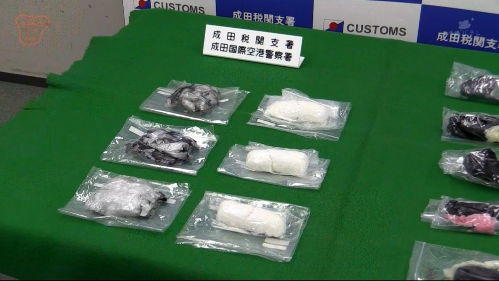 覚せい剤を下着や体内に隠して密輸　タイ人の女8人逮捕
