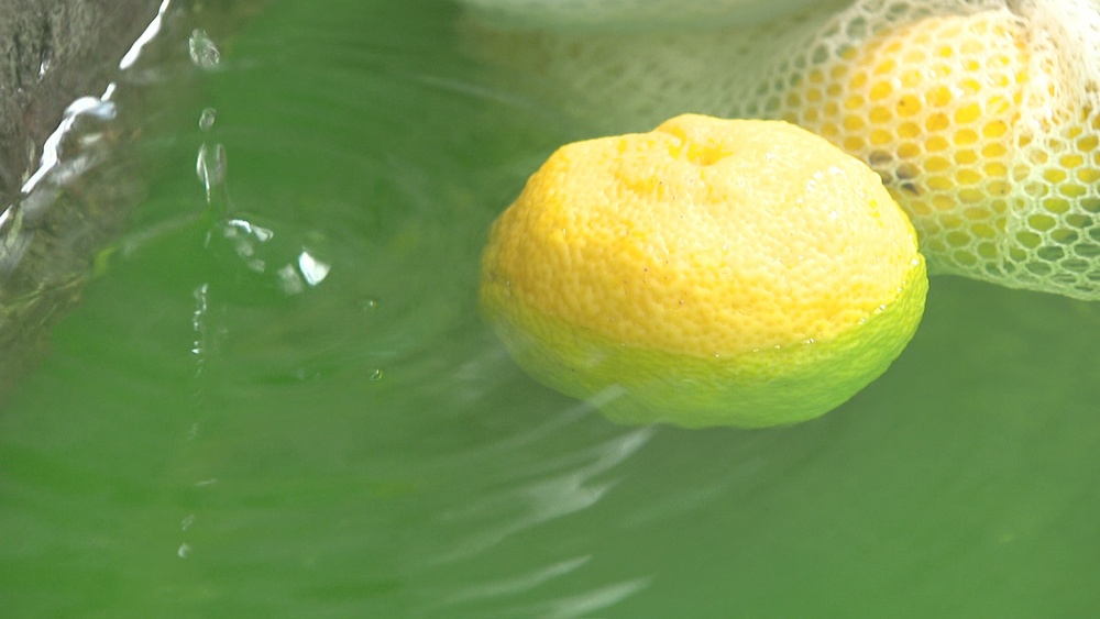 冬至で「ゆず湯」サービス　千葉市中央区の銭湯　爽やかな香り漂う