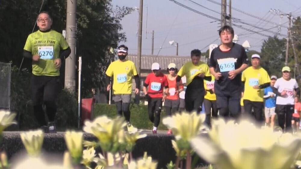 千葉県いすみ市 「身近な田舎を走ろう」3年ぶりに健康マラソン開催