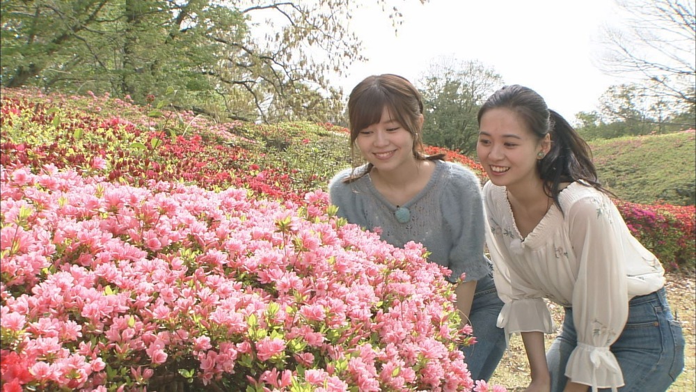 ザ・サンデー千葉市～「 みどり」で初夏を楽しもう♪