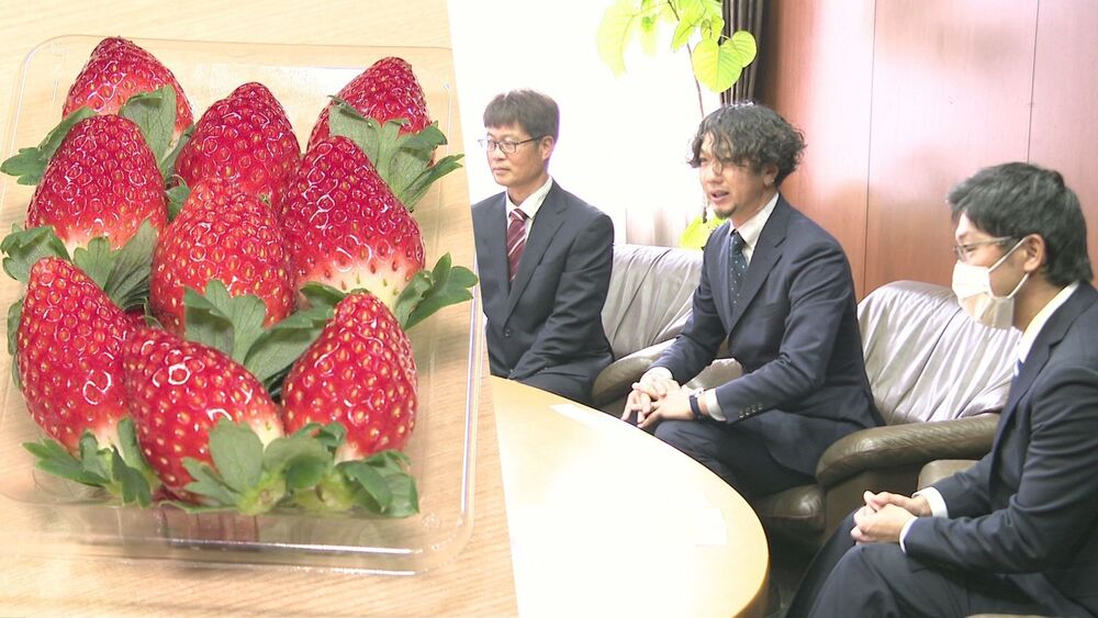 おいしい千葉のイチゴを味わって！　千葉のイチゴ農家がチバテレ訪れる