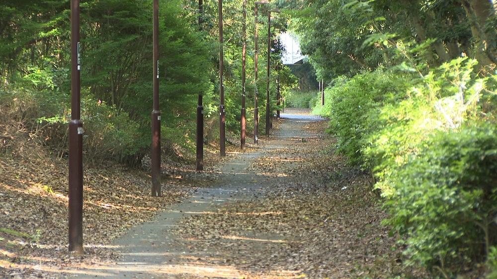 ７５歳女性が千葉市美浜区の歩道で男に突然羽交い絞めにされバッグ奪われる