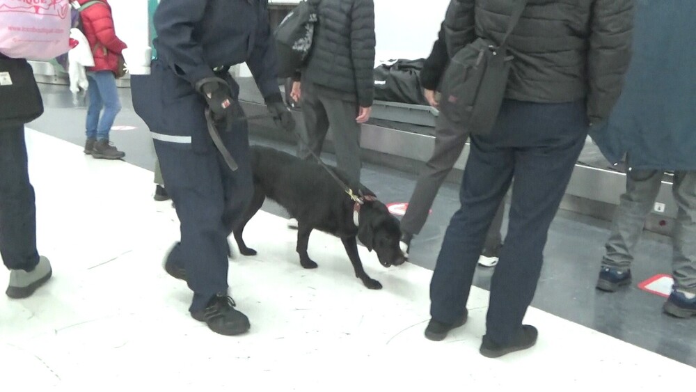 年末の空港利用客増加に向け取り締まり強化　成田税関で「年末特別警戒」始まる