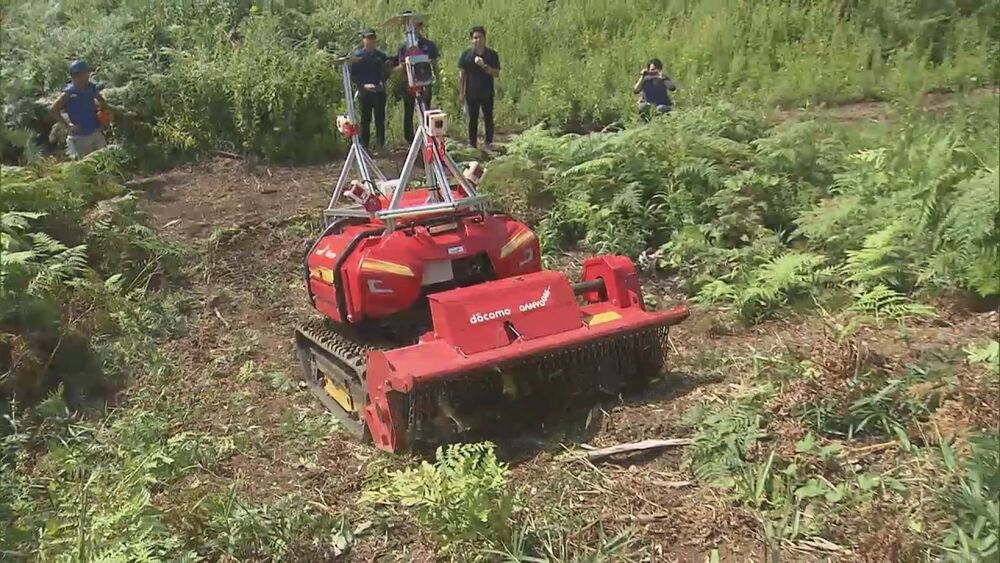 “下刈り”自動化へ 試験走行