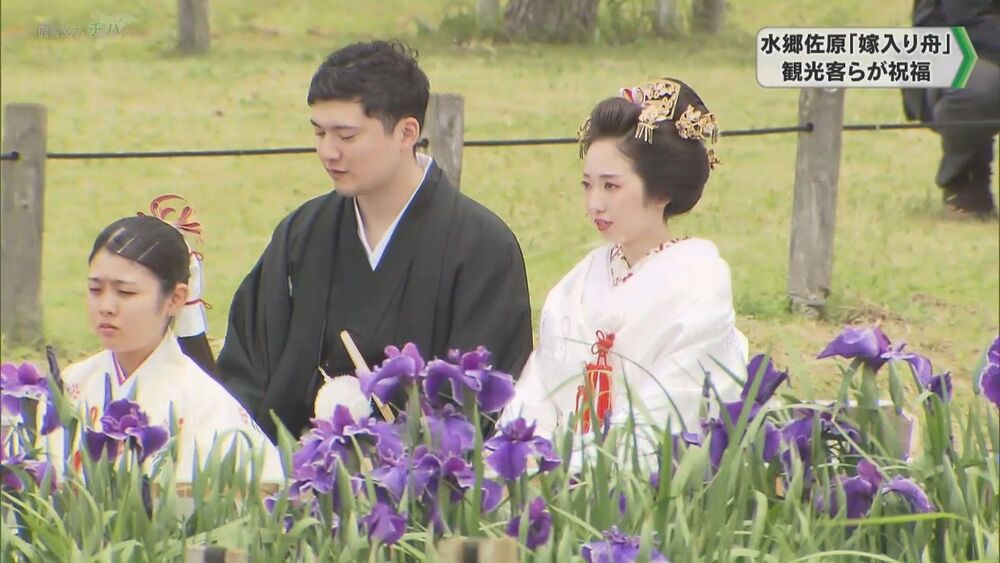 水郷佐原あやめ祭り 見ごろのハナショウブ「嫁入り舟」を祝福