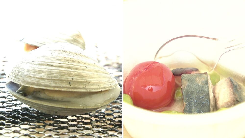 千葉の海と海の幸の魅力を体感するグルメイベント　千葉市内の博物館で初めて開催