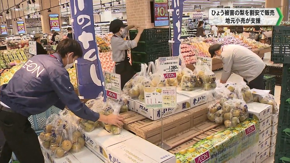 千葉県市川市 ひょう被害の梨を販売 地元小売が支援
