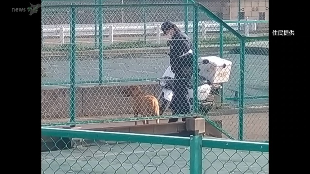 大型犬ピット・ブルを捕獲　千葉県市川市で約14時間の逃走劇 