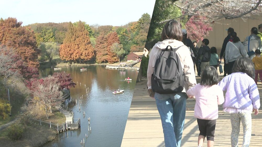 紅葉見頃の千葉・ふなばしアンデルセン公園　連休最終日に大勢の家族連れで賑わう