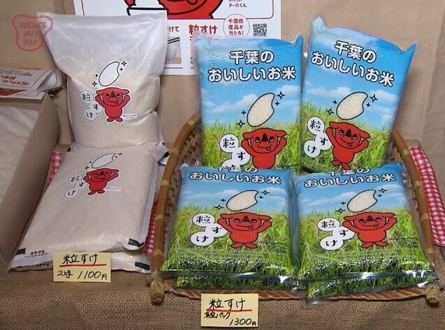 千葉県産の米の新品種「粒すけ」1月末から海外輸出始まる