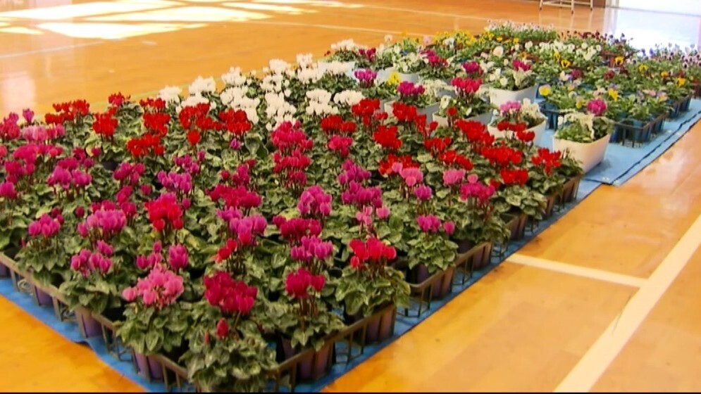 お花や野菜を販売！千葉県我孫子市の特別支援学校 文化祭で実習の成果を披露