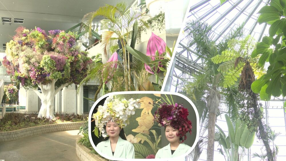 「花の美術館」がリニューアルオープン　芸術性高めた展示が特徴に
