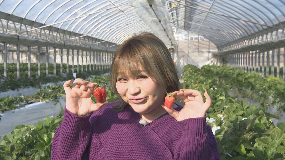市町村てくてく散歩#104 ～りんごちゃんが茂原市へ～【後編】