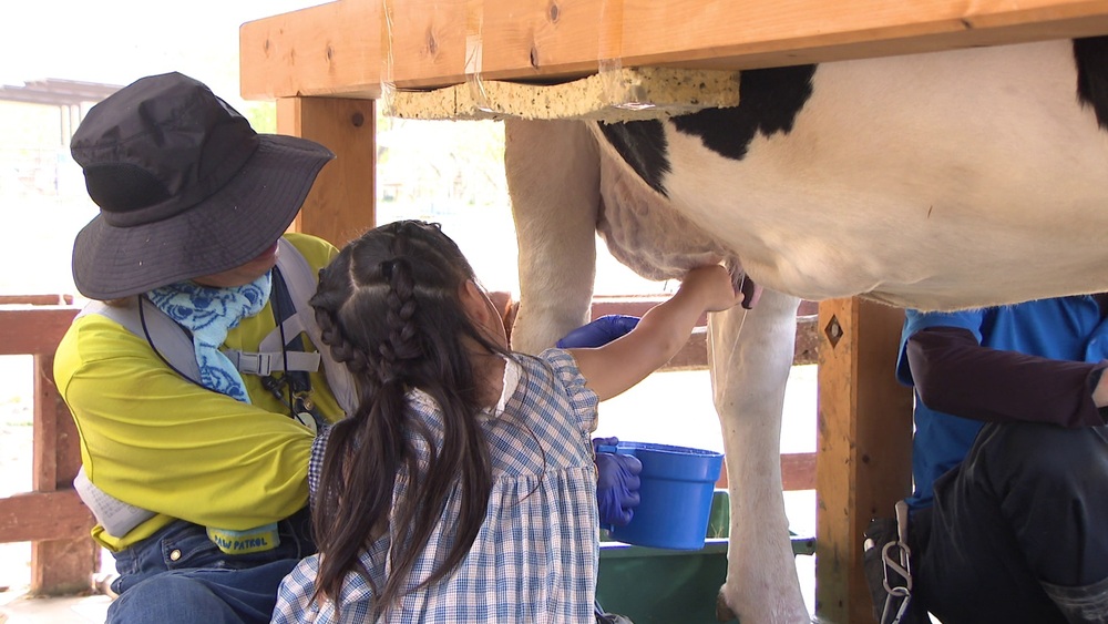夏休み最後の週末に思い出作り　子どもたちが牛の乳しぼりなど体験　千葉県成田市