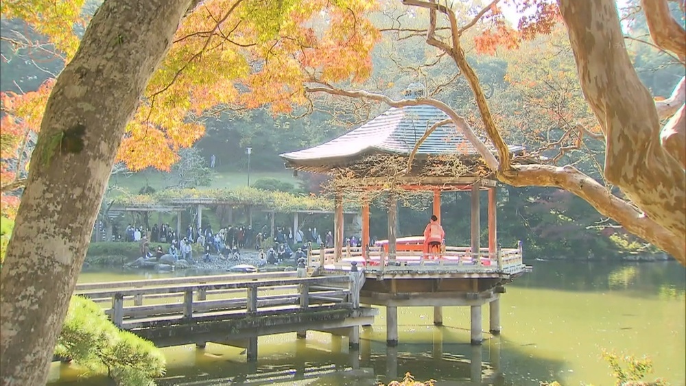紅葉が見ごろ 成田山公園の紅葉まつり開催中 チバテレ プラス