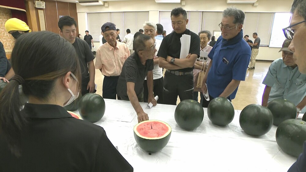 “黒い皮”と“黄色い果肉”のプレミアムスイカ　千葉県富里市でスイカの査定会