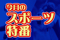 今月のスポーツ特番